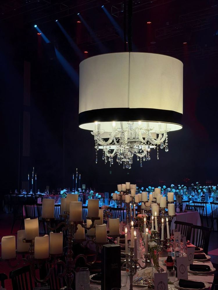 צילום: alin.social