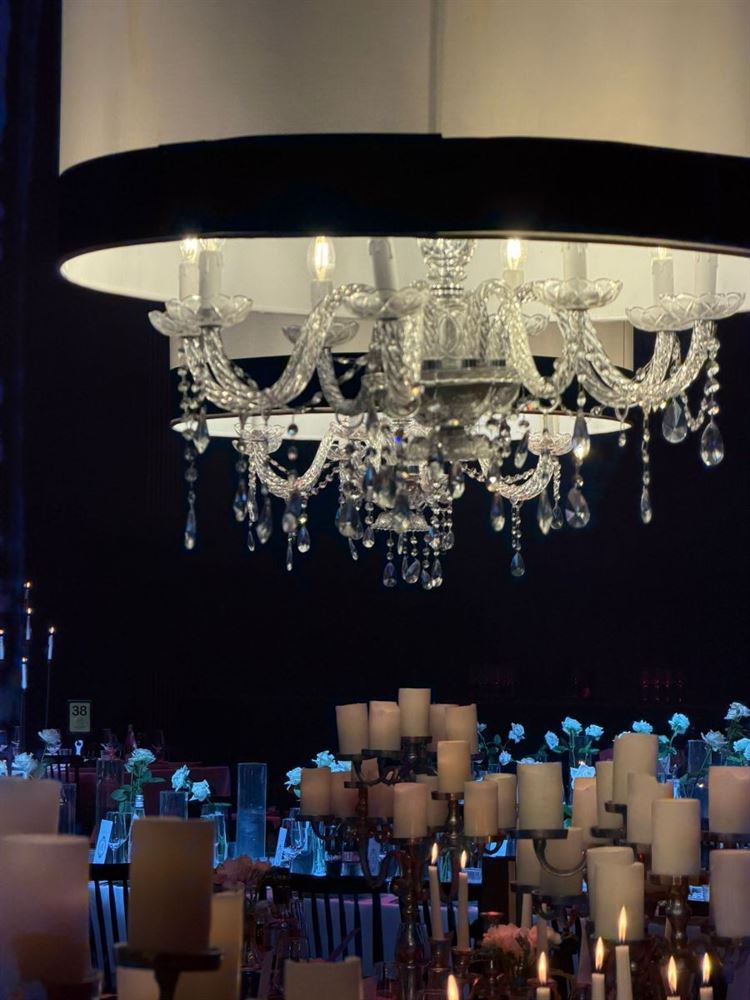 צילום: alin.social