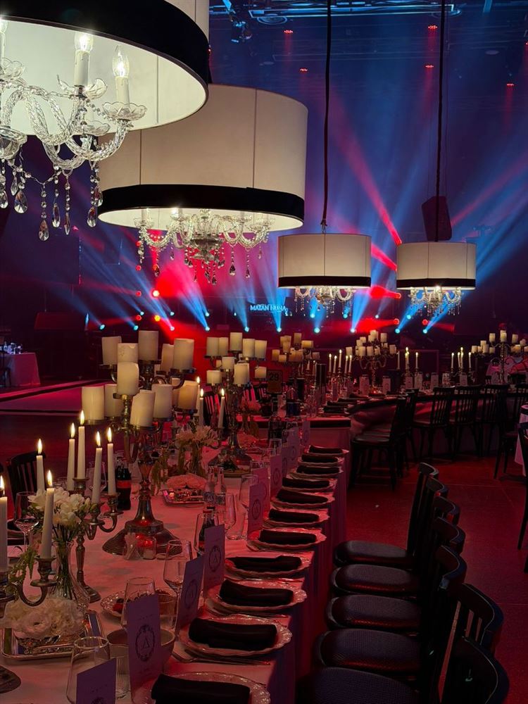 צילום: alin.social