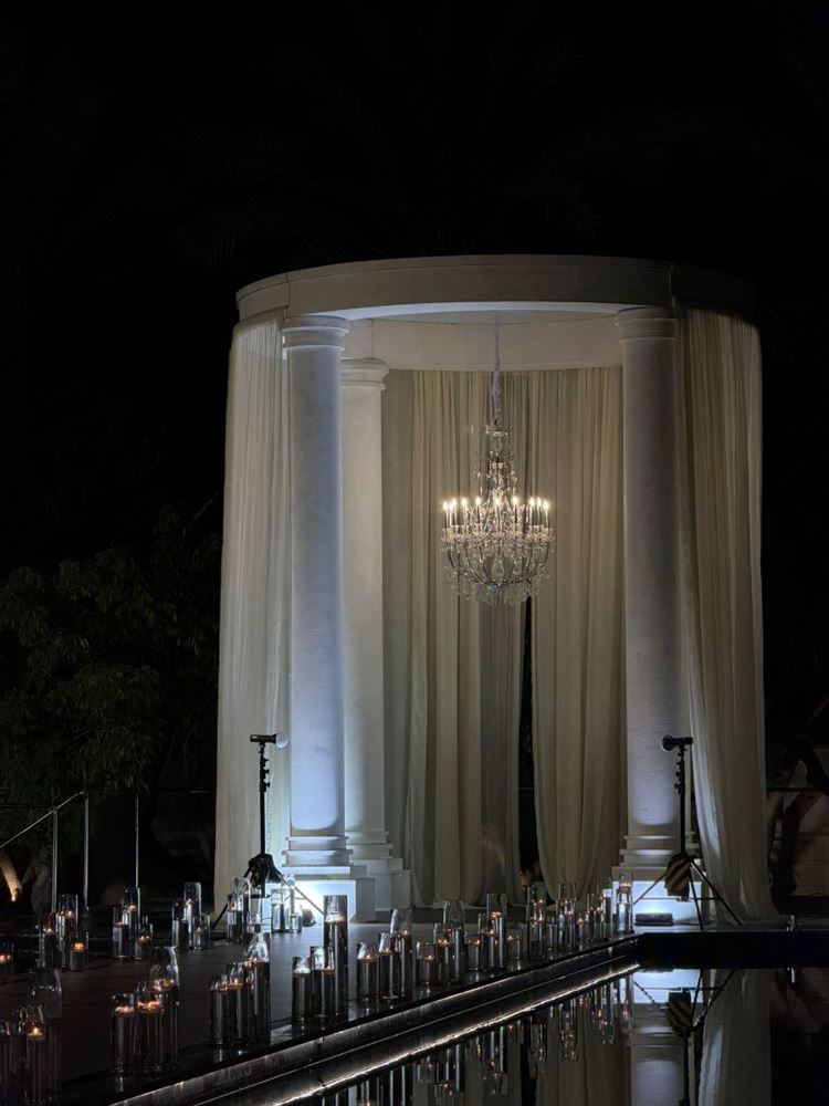 צילום: alin.social