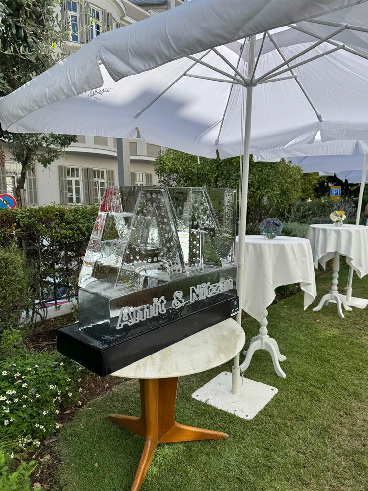 צילום: שי תמיר