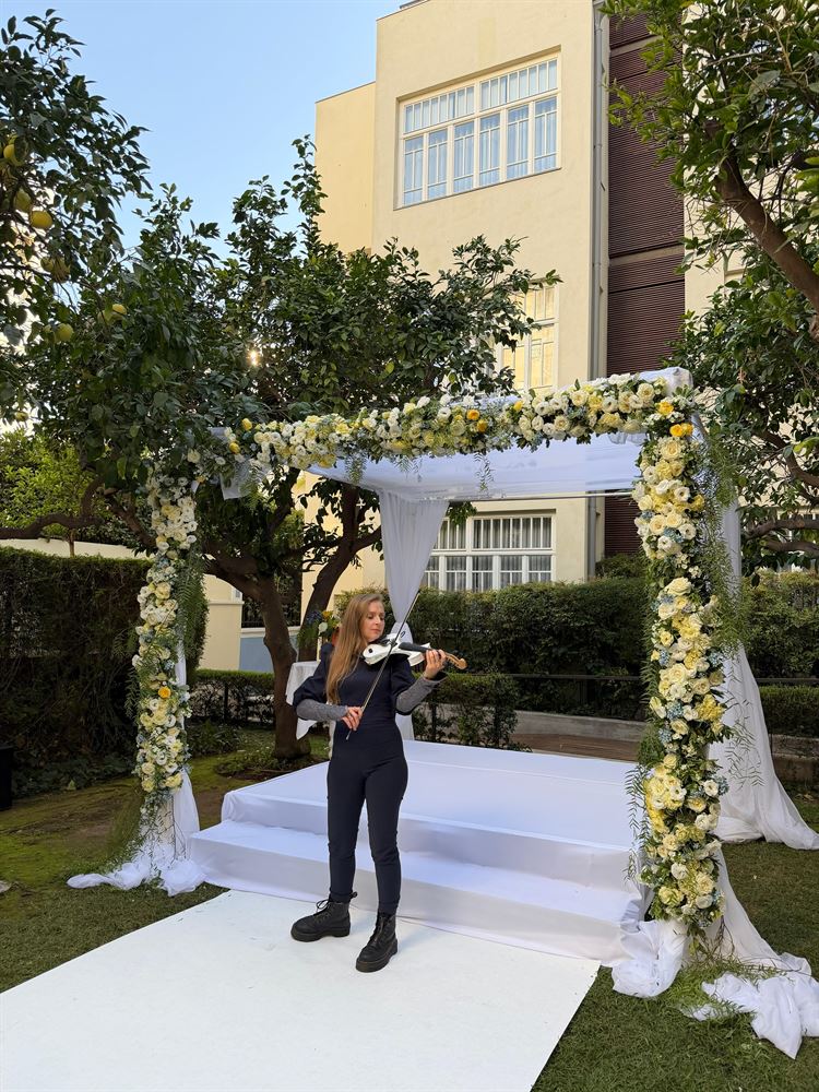 צילום: שי תמיר