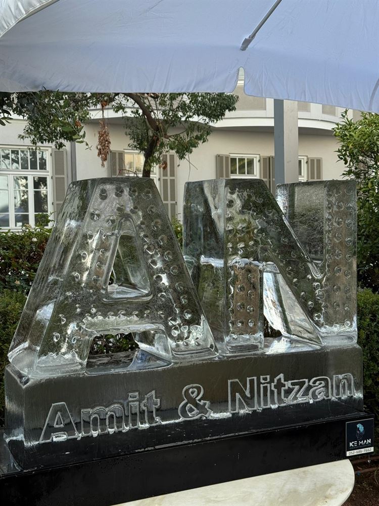 צילום: שי תמיר