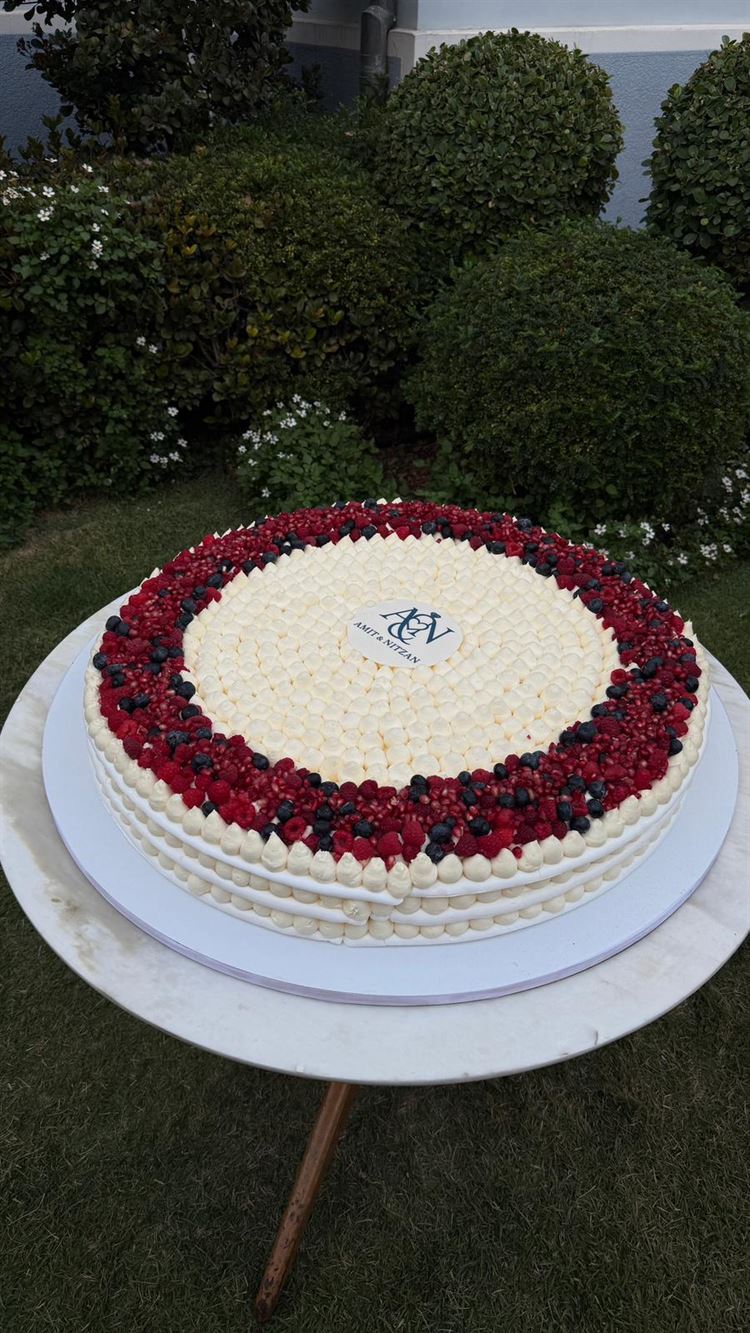 צילום: שי תמיר