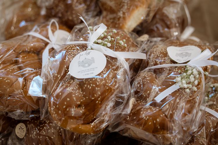 צילום: נועה פרז