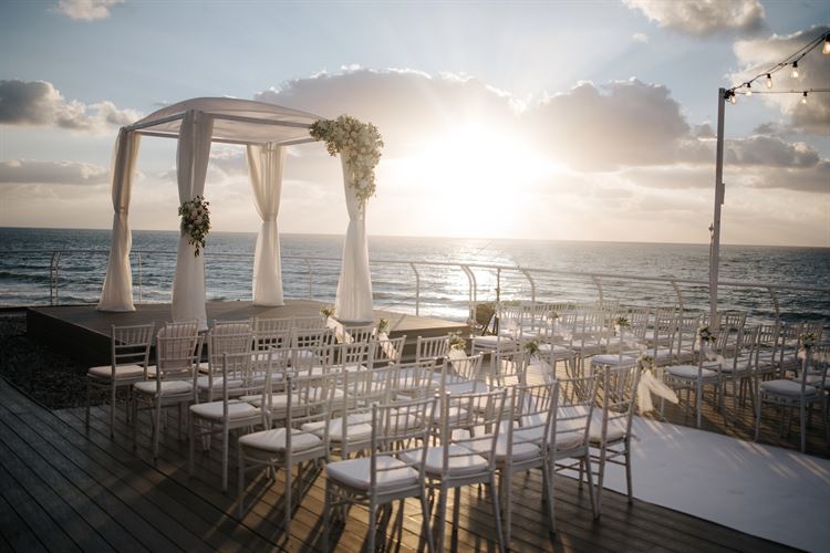 צילום: אוראל דדון