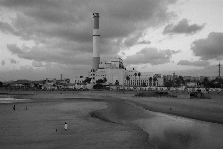 צילום: אוראל דדון