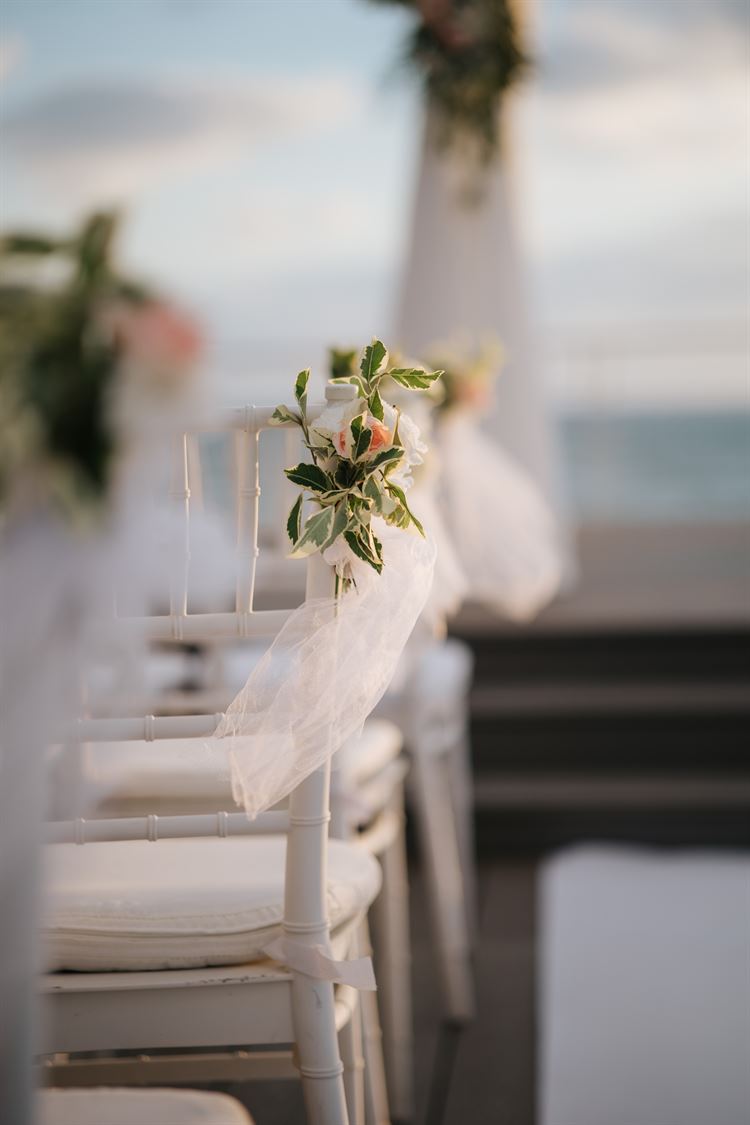 צילום: אוראל דדון