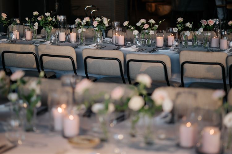 צילום: אוראל דדון