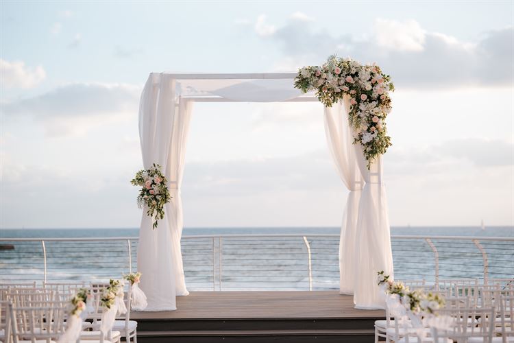 צילום: אוראל דדון