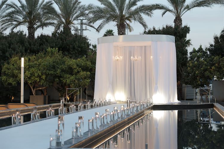 צילום: שי אסייג