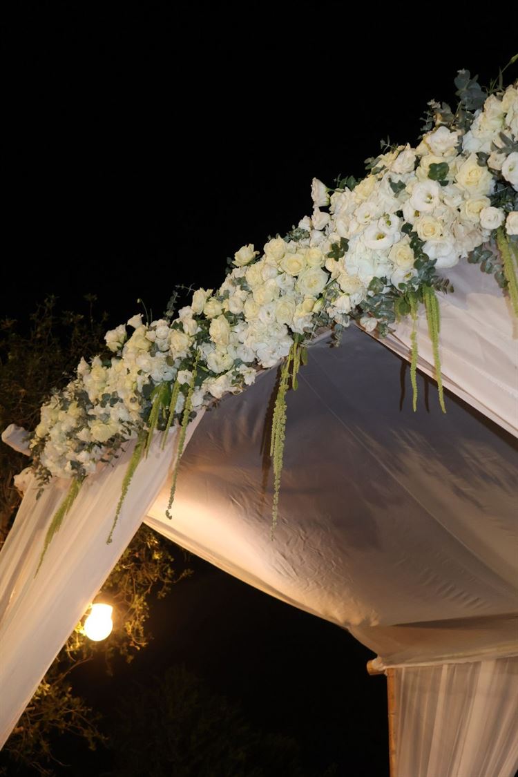 צילום: אלי פאר