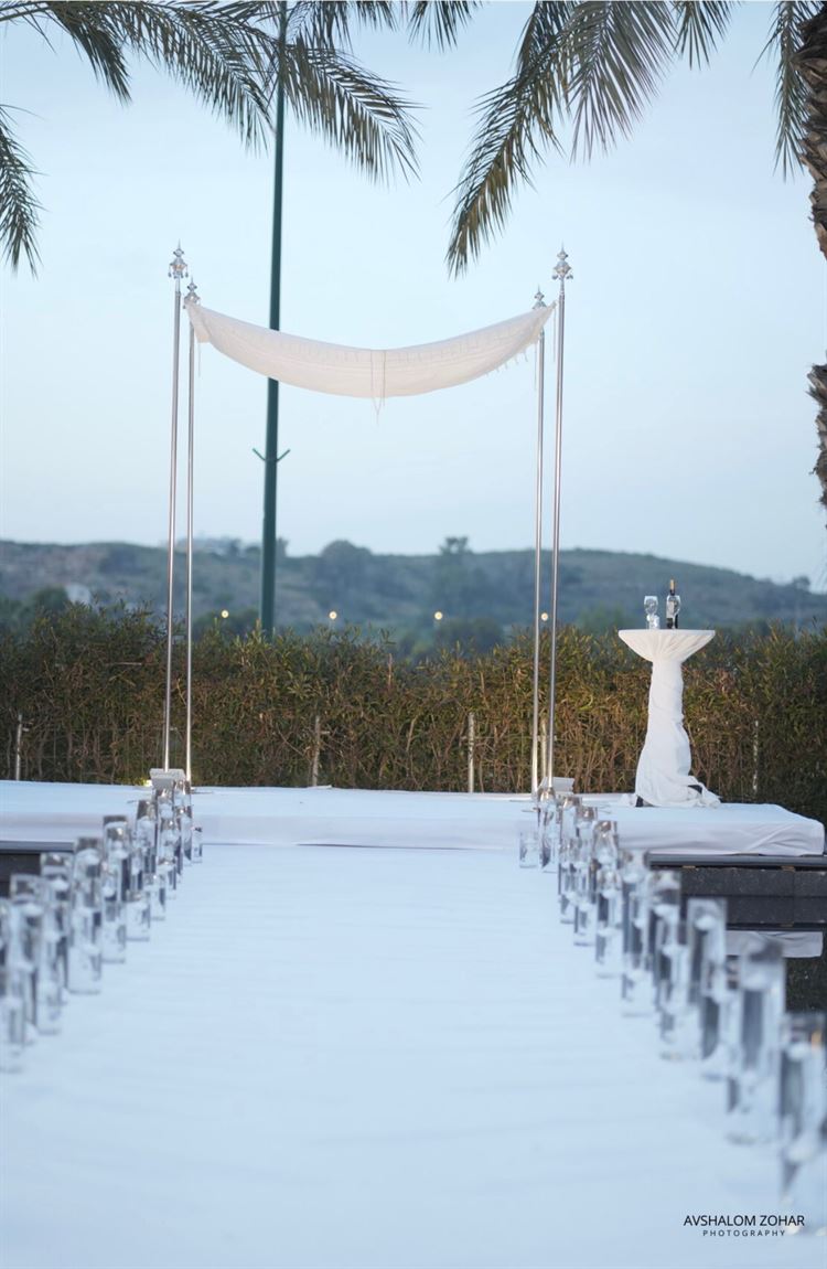 צילום: אבשלום זוהר