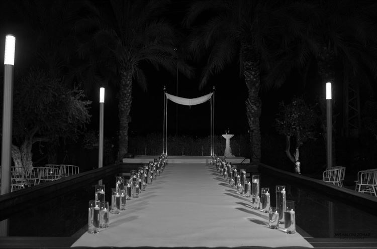 צילום: אבשלום זוהר