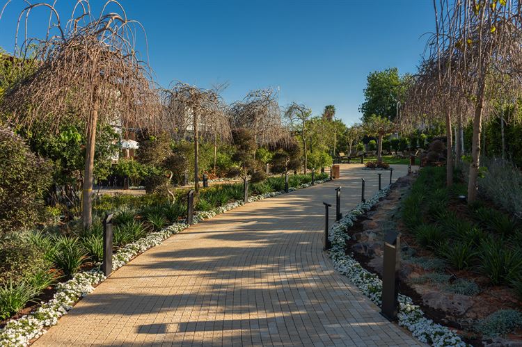 צילום: וואלה מזל טוב