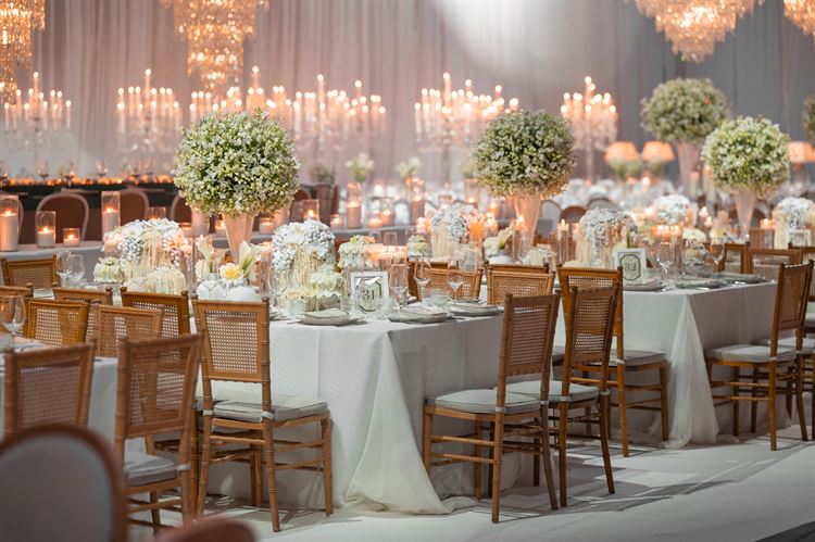 צילום: וואלה מזל טוב