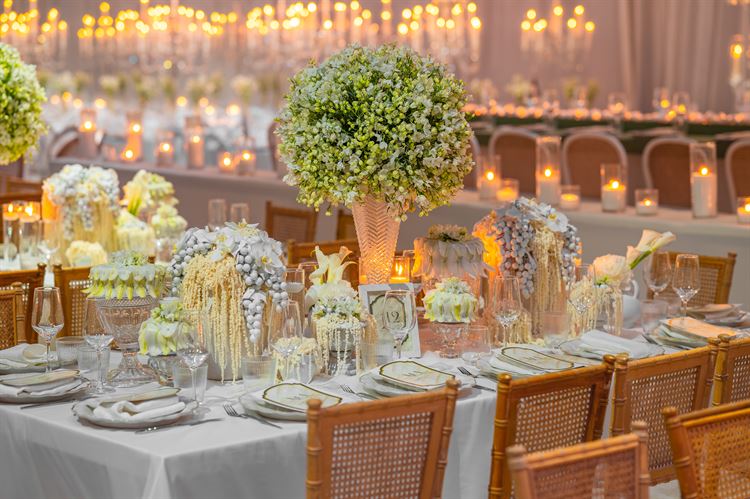 צילום: וואלה מזל טוב