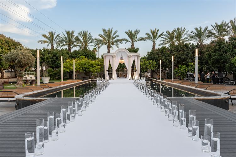 צילום: וואלה מזל טוב