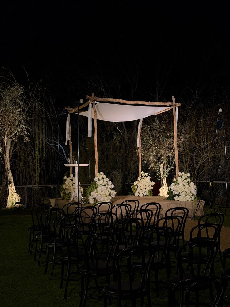 צילום: אסף אריאלי