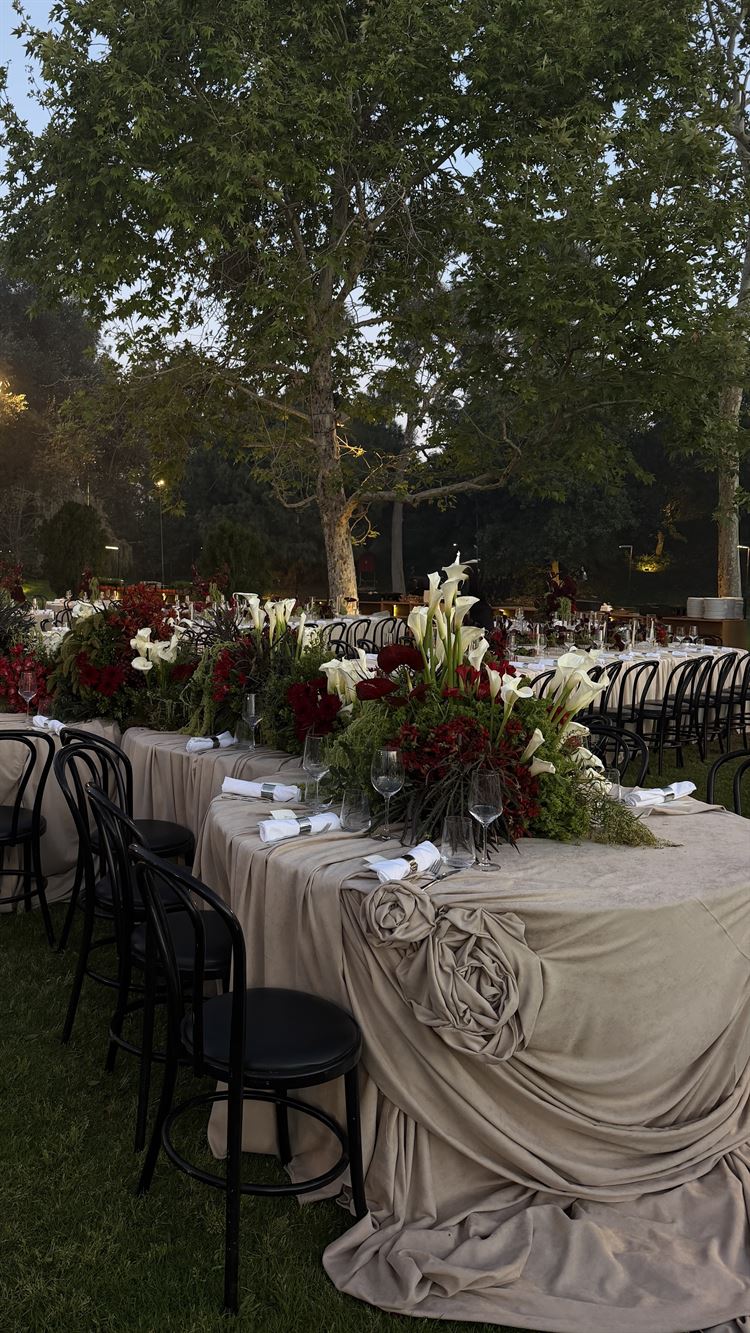 צילום: אסף אריאלי