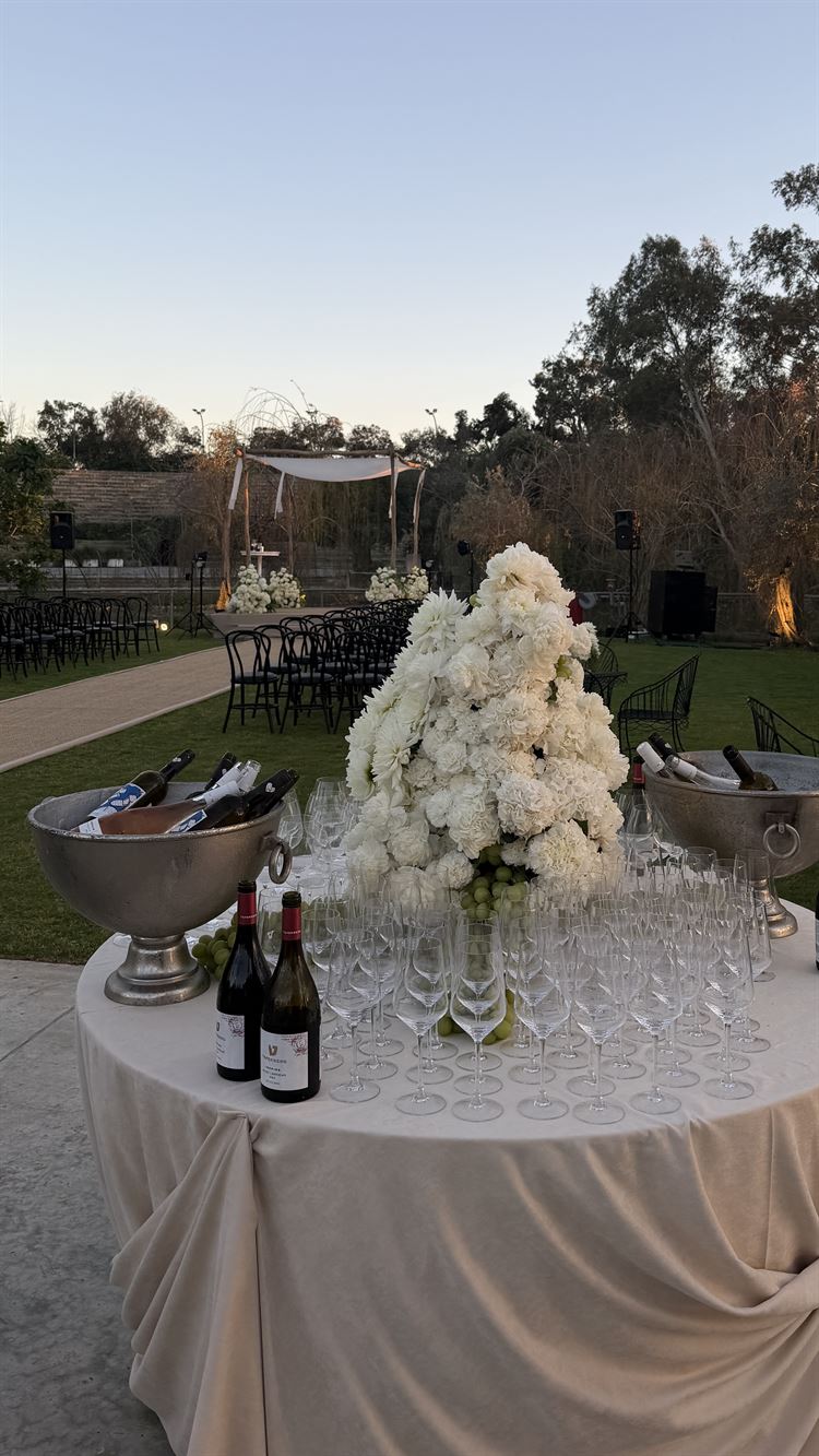 צילום: אסף אריאלי