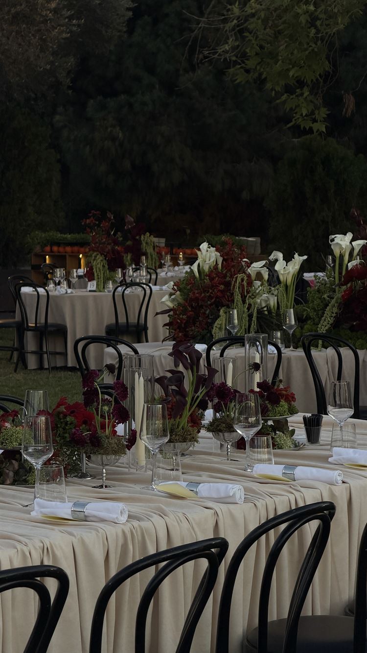 צילום: אסף אריאלי