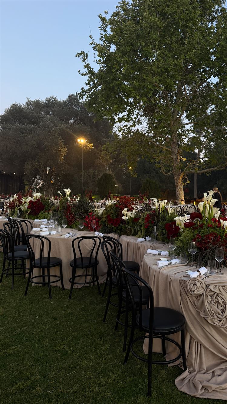 צילום: אסף אריאלי