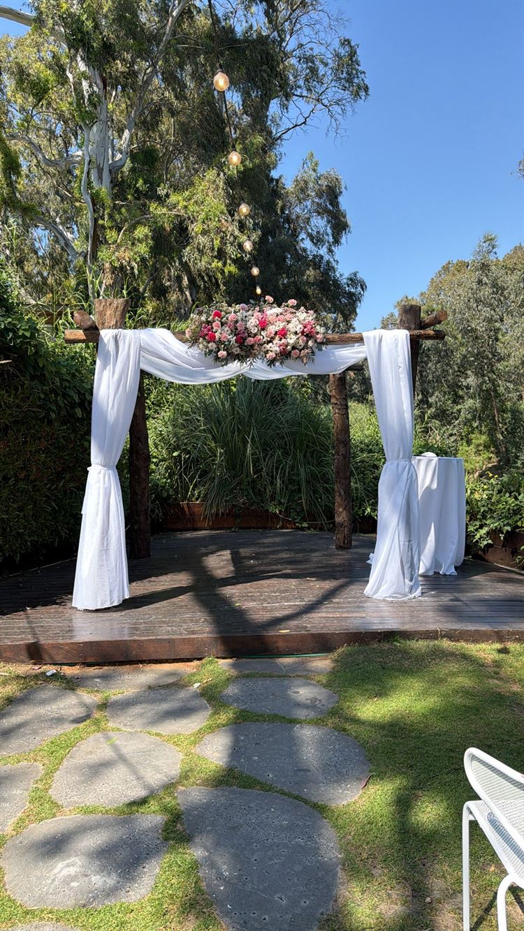 צילום: מני שטרית