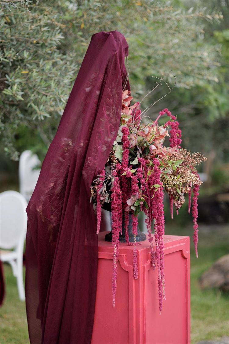צילום: People Photography