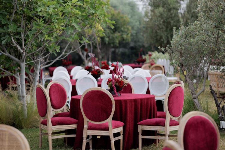 צילום: People Photography
