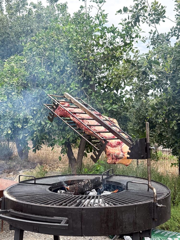 צילום: אור גפן