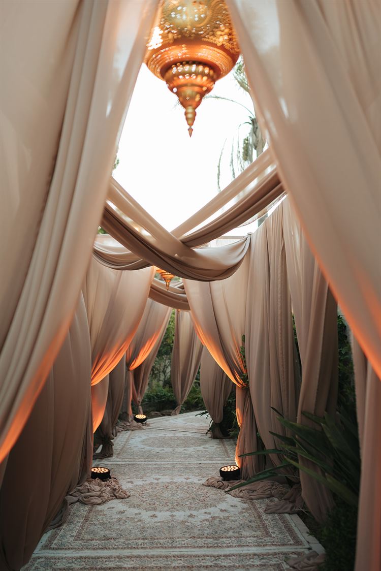 צילום: עדי אלבז