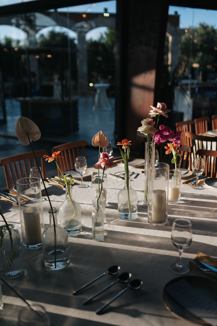 צילום: דניאל ברץ