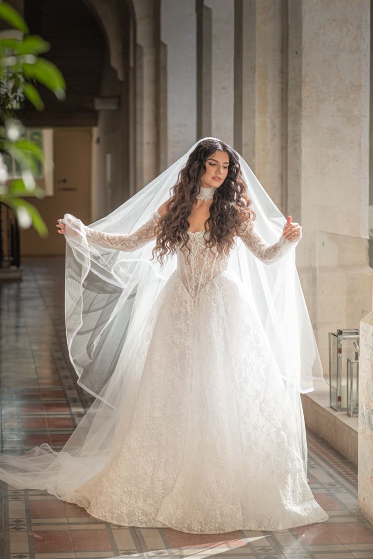 צילום: חיים אפריאט