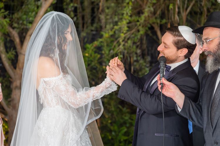 צילום: חיים אפריאט