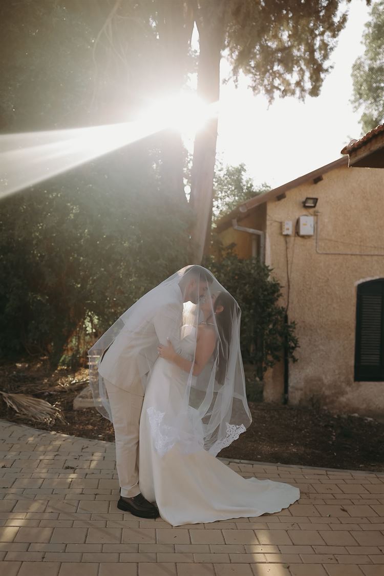 צילום: ישראל סיונוב