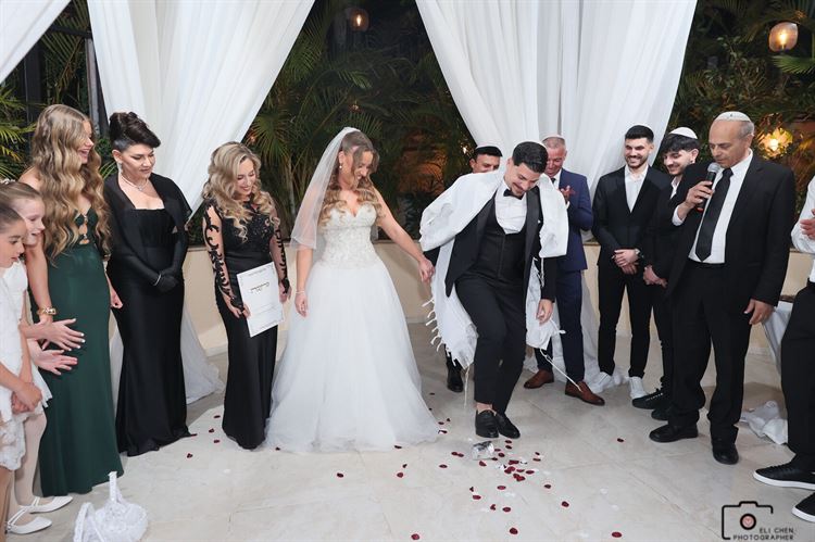 צילום: אלי חן