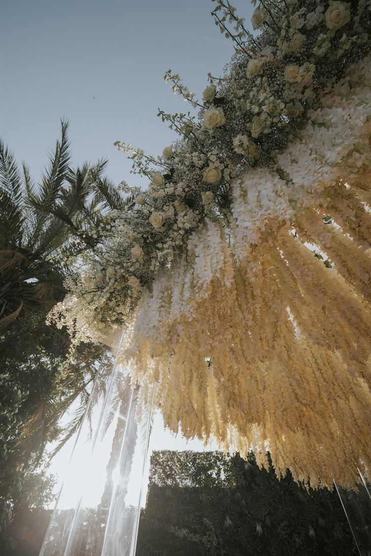 צילום: מומנטס