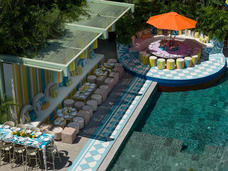 צילום: יח