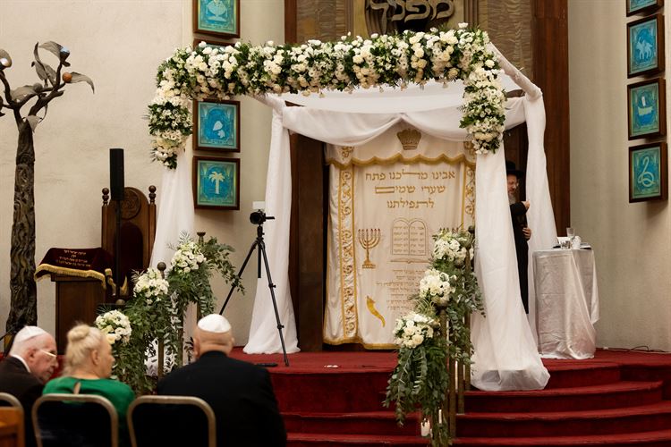 צילום: יח