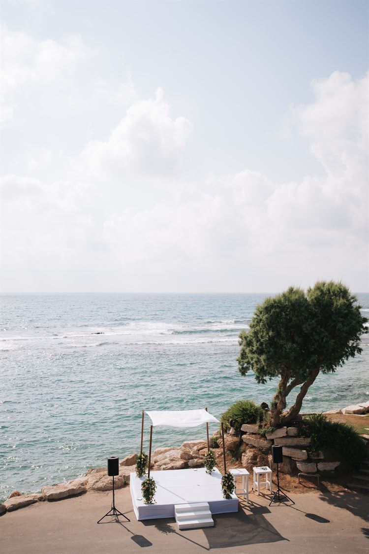 צילום: עדי אלבז