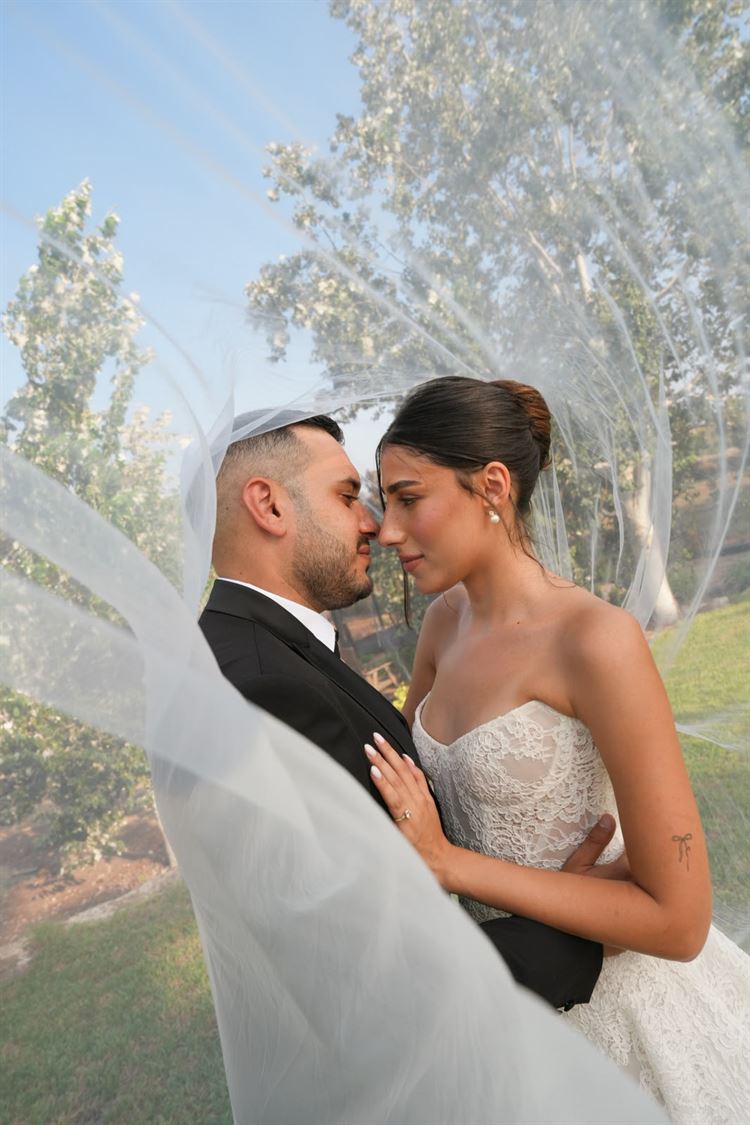 צילום: ממוריט