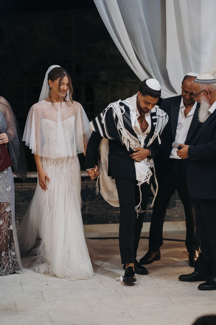 צילום: גל רון