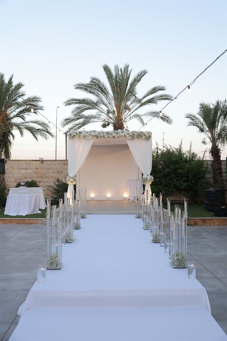 צילום: שי אסייג