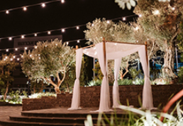 ארטיסטה ARTISTA גני אירועים