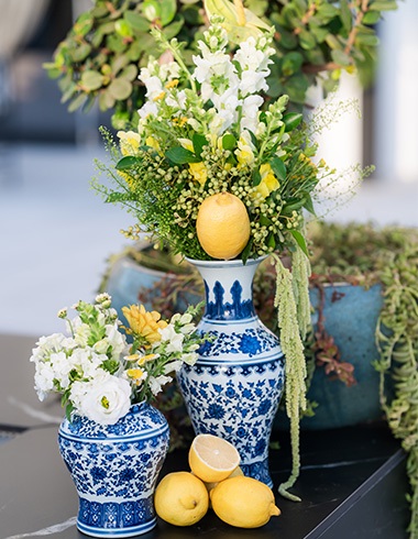 אסף בורוביק- מעצב אירועים קיצי